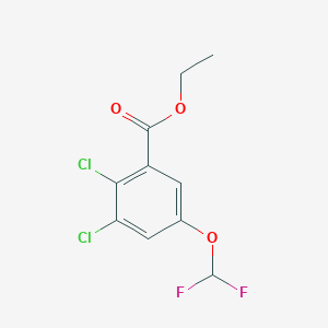 molecular formula C10H8Cl2F2O3 B1409917 Ethyl 2,3-dichloro-5-(difluoromethoxy)benzoate CAS No. 1805124-80-4