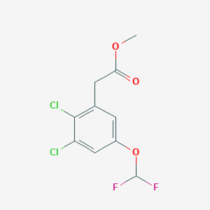 molecular formula C10H8Cl2F2O3 B1409975 Methyl 2,3-dichloro-5-(difluoromethoxy)phenylacetate CAS No. 1806297-70-0
