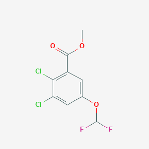molecular formula C9H6Cl2F2O3 B1409996 Methyl 2,3-dichloro-5-(difluoromethoxy)benzoate CAS No. 1803817-97-1