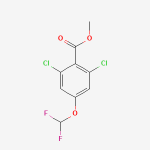 molecular formula C9H6Cl2F2O3 B1410017 Methyl 2,6-dichloro-4-(difluoromethoxy)benzoate CAS No. 1804882-55-0