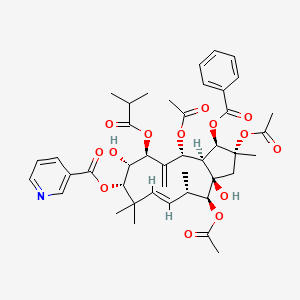 molecular formula C43H53NO14 B14100452 Jatrophane 3 