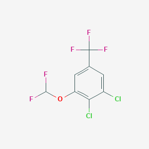 3,4-Dichloro-5-(difluoromethoxy)benzotrifluoride