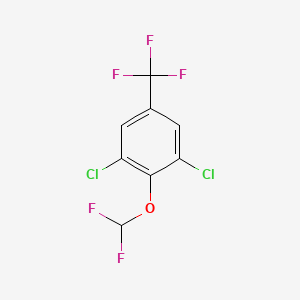 molecular formula C8H3Cl2F5O B1410061 3,5-Dichloro-4-(difluoromethoxy)benzotrifluoride CAS No. 1806352-78-2