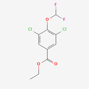 molecular formula C10H8Cl2F2O3 B1410069 Ethyl 3,5-dichloro-4-(difluoromethoxy)benzoate CAS No. 1807058-98-5