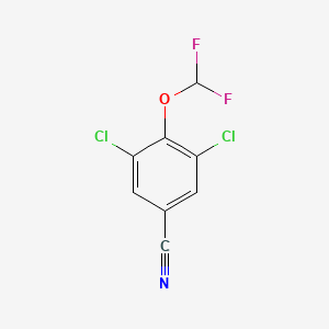 molecular formula C8H3Cl2F2NO B1410074 3,5-Dichloro-4-(difluoromethoxy)benzonitrile CAS No. 1806322-12-2