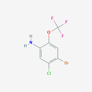 molecular formula C7H4BrClF3NO B1410238 4-Bromo-5-chloro-2-(trifluoromethoxy)aniline CAS No. 1807073-00-2
