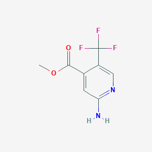 molecular formula C8H7F3N2O2 B1410239 甲基2-氨基-5-(三氟甲基)异烟酸酯 CAS No. 1227603-88-4