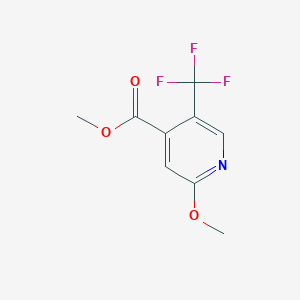 molecular formula C9H8F3NO3 B1410248 Methyl 2-methoxy-5-(trifluoromethyl)isonicotinate CAS No. 1227595-16-5