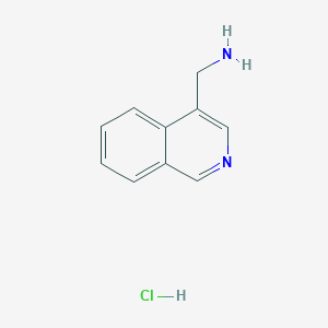 molecular formula C10H11ClN2 B14102482 Isoquinolin-4-ylmethanamine hydrochloride 