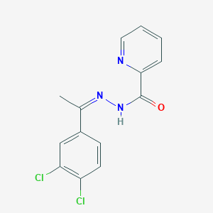 molecular formula C14H11Cl2N3O B14103210 N'-[(1Z)-1-(3,4-dichlorophenyl)ethylidene]pyridine-2-carbohydrazide 