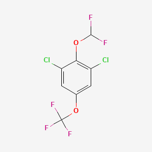 1,3-Dichloro-2-difluoromethoxy-5-(trifluoromethoxy)benzene