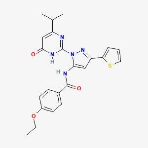 molecular formula C23H23N5O3S B14104021 4-ethoxy-N-(1-(4-isopropyl-6-oxo-1,6-dihydropyrimidin-2-yl)-3-(thiophen-2-yl)-1H-pyrazol-5-yl)benzamide 