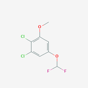 molecular formula C8H6Cl2F2O2 B1410418 2,3-Dichloro-5-(difluoromethoxy)anisole CAS No. 1803817-61-9
