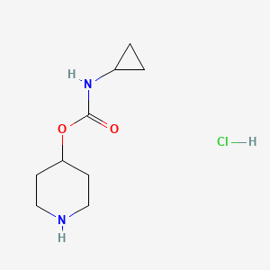 molecular formula C9H17ClN2O2 B1410473 piperidin-4-yl N-cyclopropylcarbamate hydrochloride CAS No. 1884704-68-0