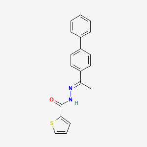 molecular formula C19H16N2OS B14104839 N'-[(1E)-1-(biphenyl-4-yl)ethylidene]thiophene-2-carbohydrazide 