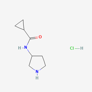 molecular formula C8H15ClN2O B1410486 N-(3-Pyrrolidinyl)cyclopropanecarboxamide hydrochloride CAS No. 1905483-77-3