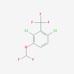 B1410521 2,6-Dichloro-3-(difluoromethoxy)benzotrifluoride CAS No. 1803788-96-6