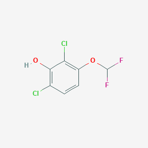 molecular formula C7H4Cl2F2O2 B1410623 2,6-Dichloro-3-(difluoromethoxy)phenol CAS No. 1806301-48-3