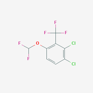 molecular formula C8H3Cl2F5O B1410624 2,3-Dichloro-6-(difluoromethoxy)benzotrifluoride CAS No. 1803831-47-1