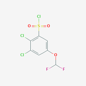 molecular formula C7H3Cl3F2O3S B1410635 2,3-Dichloro-5-(difluoromethoxy)benzenesulfonyl chloride CAS No. 1804936-65-9