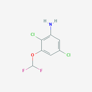 molecular formula C7H5Cl2F2NO B1410741 2,5-Dichloro-3-(difluoromethoxy)aniline CAS No. 1806274-66-7