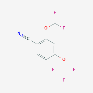 molecular formula C9H4F5NO2 B1410744 2-Difluoromethoxy-4-(trifluoromethoxy)benzonitrile CAS No. 1804416-39-4