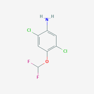 molecular formula C7H5Cl2F2NO B1410748 2,5-二氯-4-(二氟甲氧基)苯胺 CAS No. 1804421-14-4