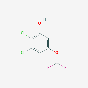 molecular formula C7H4Cl2F2O2 B1410749 2,3-Dichloro-5-(difluoromethoxy)phenol CAS No. 1803818-68-9