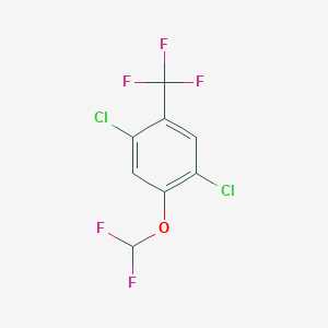 molecular formula C8H3Cl2F5O B1410760 2,5-Dichloro-4-(difluoromethoxy)benzotrifluoride CAS No. 1807059-16-0