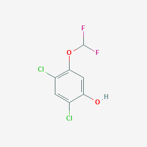 molecular formula C7H4Cl2F2O2 B1410761 2,4-Dichloro-5-(difluoromethoxy)phenol CAS No. 1803791-33-4