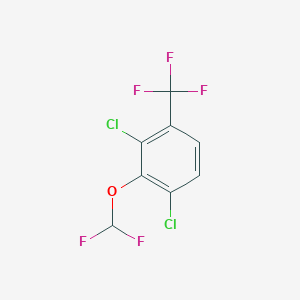 2,4-Dichloro-3-(difluoromethoxy)benzotrifluoride