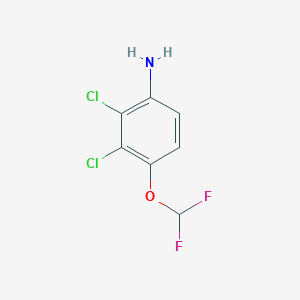 2,3-Dichloro-4-(difluoromethoxy)aniline