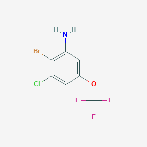 molecular formula C7H4BrClF3NO B1410882 2-Bromo-3-chloro-5-(trifluoromethoxy)aniline CAS No. 1807123-57-4