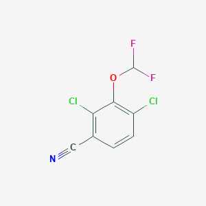 molecular formula C8H3Cl2F2NO B1410884 2,4-Dichloro-3-(difluoromethoxy)benzonitrile CAS No. 1807184-33-3
