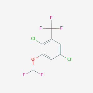 molecular formula C8H3Cl2F5O B1410893 2,5-Dichloro-3-(difluoromethoxy)benzotrifluoride CAS No. 1806275-88-6