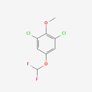 molecular formula C8H6Cl2F2O2 B1410903 2,6-Dichloro-4-(difluoromethoxy)anisole CAS No. 1803786-96-0