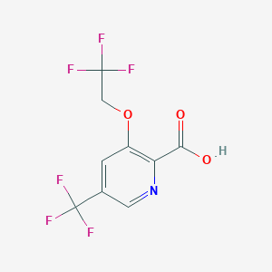 molecular formula C9H5F6NO3 B1411013 3-(2,2,2-Trifluoroethoxy)-5-(trifluoromethyl)-pyridine-2-carboxylic acid CAS No. 1924322-37-1
