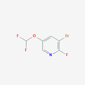 molecular formula C6H3BrF3NO B1411027 3-Bromo-5-difluoromethoxy-2-fluoropyridine CAS No. 1805103-45-0