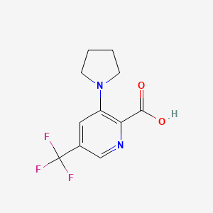 molecular formula C11H11F3N2O2 B1411036 3-Pyrrolidin-1-yl-5-(trifluoromethyl)-pyridine-2-carboxylic acid CAS No. 1992985-82-6
