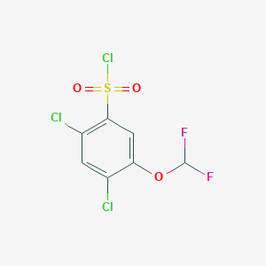 molecular formula C7H3Cl3F2O3S B1411214 2,4-Dichloro-5-(difluoromethoxy)benzenesulfonyl chloride CAS No. 1807036-02-7