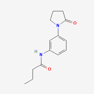 N-[3-(2-oxopyrrolidin-1-yl)phenyl]butanamide