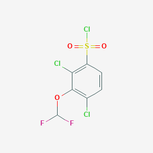 molecular formula C7H3Cl3F2O3S B1411246 2,4-Dichloro-3-(difluoromethoxy)benzenesulfonyl chloride CAS No. 1803817-79-9