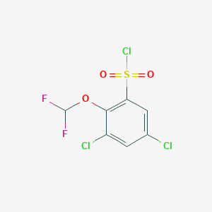 molecular formula C7H3Cl3F2O3S B1411285 3,5-Dichloro-2-(difluoromethoxy)benzenesulfonyl chloride CAS No. 1806275-42-2