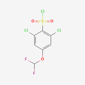 molecular formula C7H3Cl3F2O3S B1411300 2,6-Dichloro-4-(difluoromethoxy)benzenesulfonyl chloride CAS No. 1803712-48-2