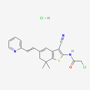 2-chloro-N-[3-cyano-7,7-dimethyl-5-(2-pyridin-2-ylethenyl)-6H-1-benzothiophen-2-yl]acetamide;hydrochloride