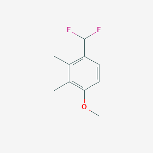 molecular formula C10H12F2O B1411420 4-Difluoromethyl-2,3-dimethylanisole CAS No. 1804418-44-7