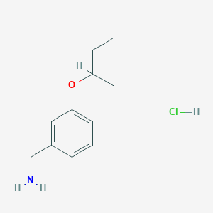 (3-sec-Butoxybenzyl)amine hydrochloride