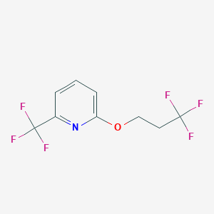 molecular formula C9H7F6NO B1411571 2-(Trifluoromethyl)-6-(3,3,3-trifluoropropoxy)pyridine CAS No. 1779122-58-5