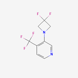 molecular formula C9H7F5N2 B1411575 3-(3,3-Difluoroazetidin-1-yl)-4-(trifluoromethyl)pyridine CAS No. 1774898-35-9