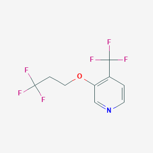 molecular formula C9H7F6NO B1411576 4-(Trifluoromethyl)-3-(3,3,3-trifluoropropoxy)pyridine CAS No. 1707581-26-7